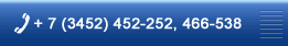 +7(3452) 452-252, 466-538